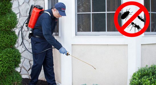 Maden Gümüşkurt İlaçlama böcek ilaçlama ve haşere kontrolü — ilaclama-tr.com